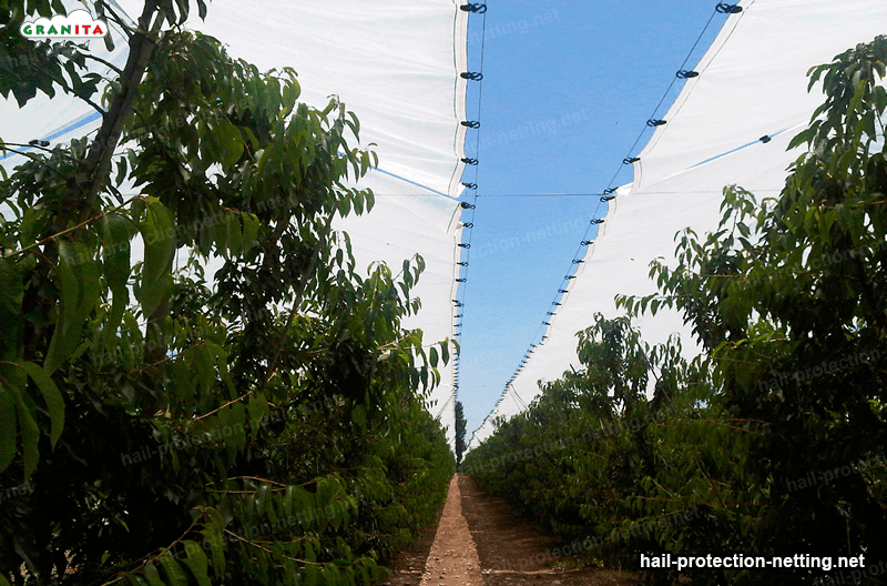 hail barrier net bring support to your crops