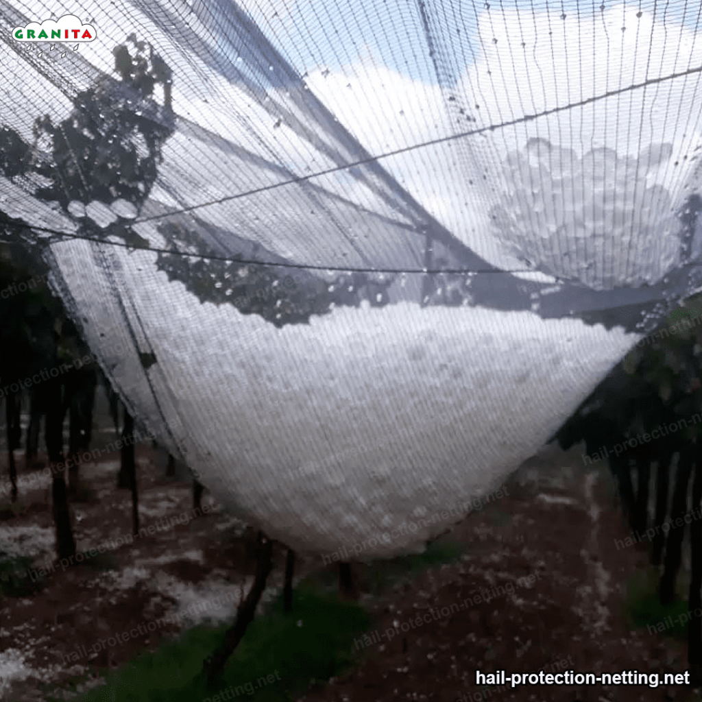 hail barrier netting protecting crops from hails